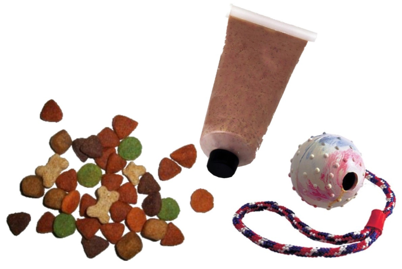 verschiedene Belohnungen als positive Bestärkung